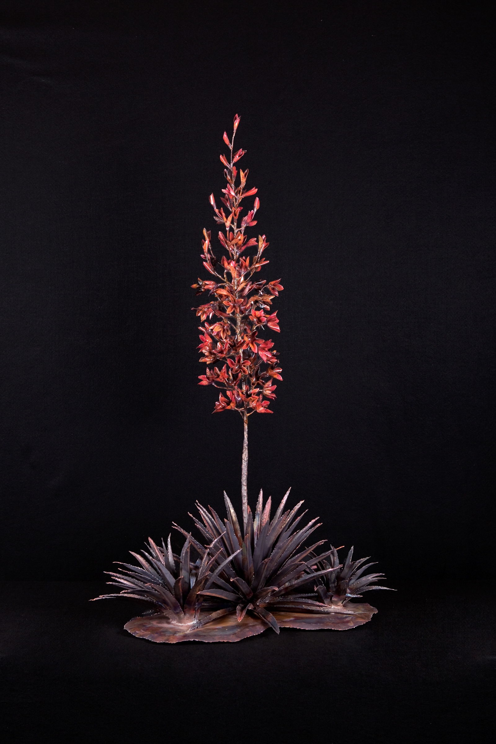 Triple Yucca Single Bloom